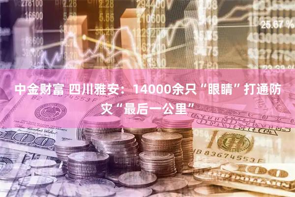 中金财富 四川雅安：14000余只“眼睛”打通防灾“最后一公里”