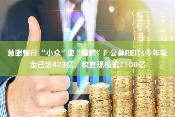 慧眼智行 “小众”变“爆款”！公募REITs今年吸金已达473亿，收官规模逾2100亿