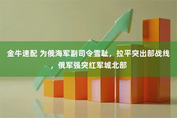 金牛速配 为俄海军副司令雪耻，拉平突出部战线，俄军强突红军城北部